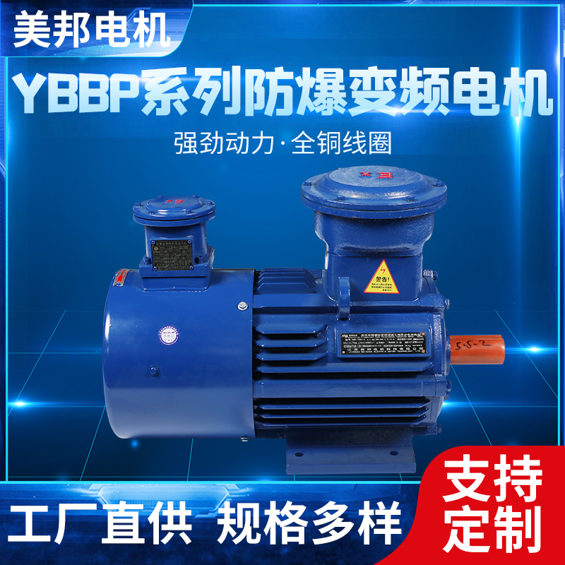 YBBP-132S1-2-5.5KW B3